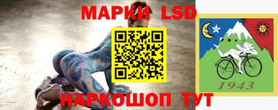 тгк Новокубанск
