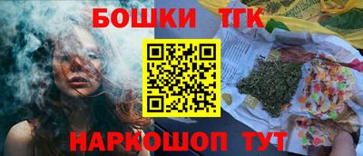 тгк Новокубанск