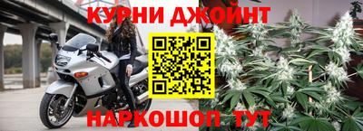 индика Новозыбков