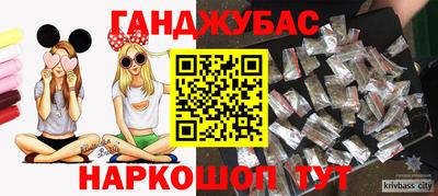 индика Новозыбков