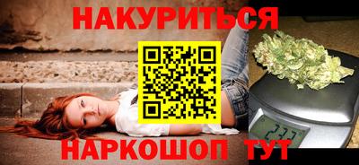 индика Новозыбков