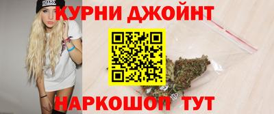 индика Новозыбков